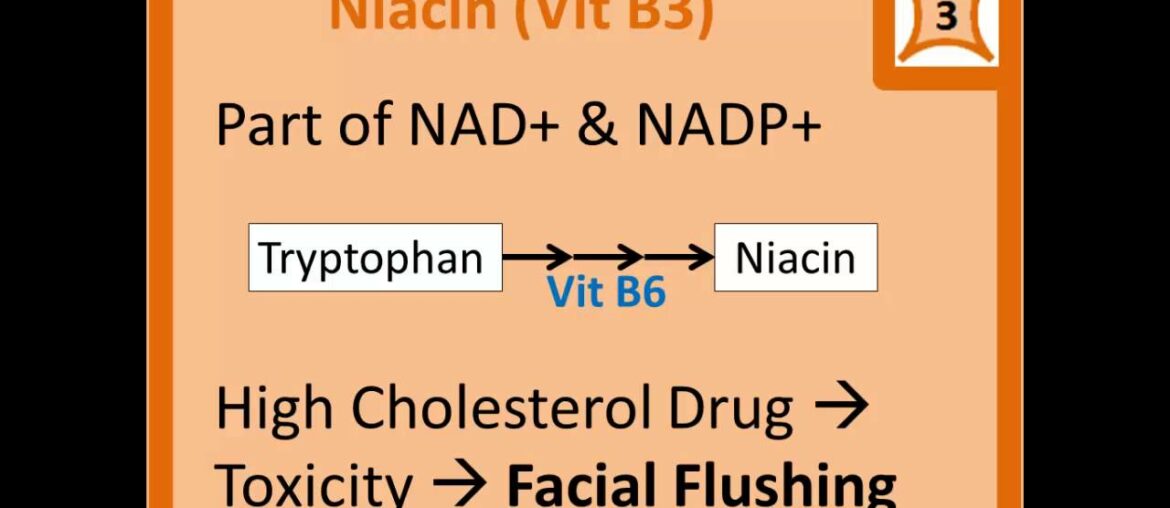 Water Soluble Vitamin Deficiency, Scurvy Pellagra Wernicke-Korsakoff Syndrome Beriberi