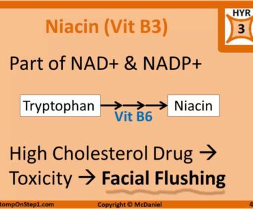 Water Soluble Vitamin Deficiency, Scurvy Pellagra Wernicke-Korsakoff Syndrome Beriberi