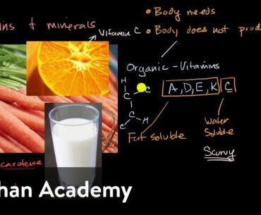 Introduction to vitamins and minerals | Biology foundations | High school biology | Khan Academy