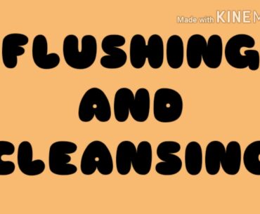 PIGEON SUPPLEMENTS,VITAMINS AND MEDICINE