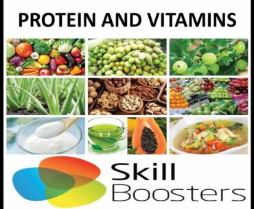 Class VI Ch 2 Topic   Protein and Vitamin