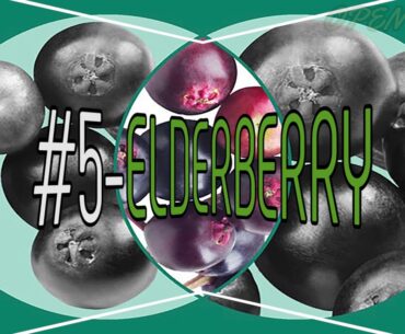 Coronavirus UK: 10 foods and vitamins to help boost your immune system