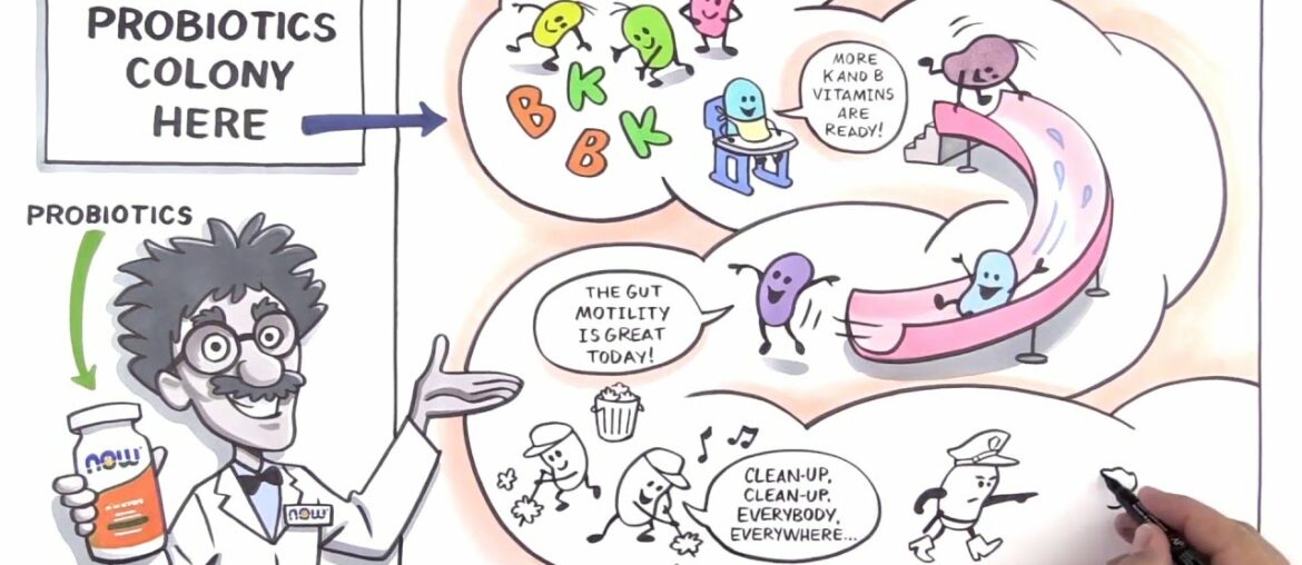 How Probiotics Can Support a Healthy Gut and Immunity | NOW Supplements