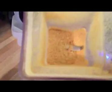 How to Make Your Own Vitamin C