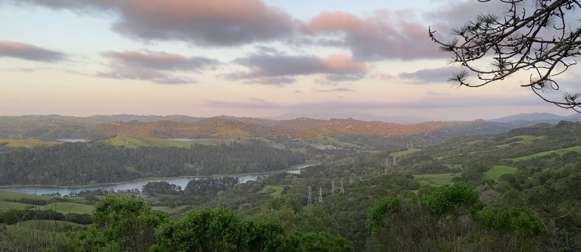 Adaption gives humans herd immunity.