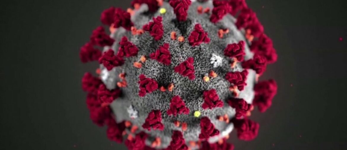 How To Make: COVID-19 Free Vitamin-C Smoothie