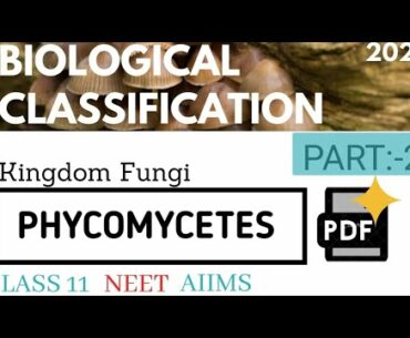 Phycomycetes || mode of nutrition || habitat || reproduction || Vitamin B biology || NCERT class 11
