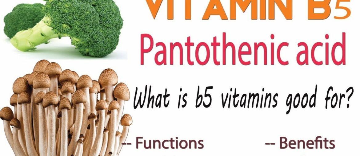 pantothenic acid explained || vitamin b5 review