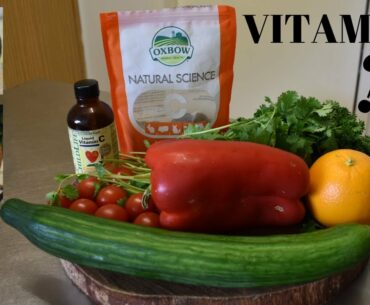 Guinea Pigs | Vitamin C | Why They Need It | Supplements? & More
