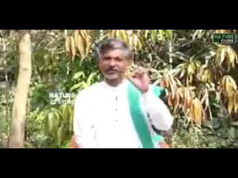 The Nature food can prevent Corona Virus to increase Immunity like Vitamin C,D and B Complex