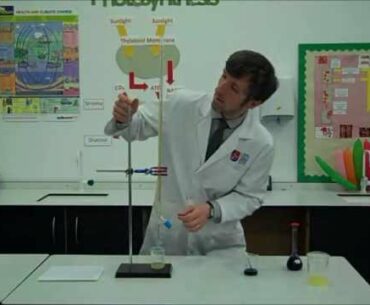 Core Practical: Finding the vitamin C content of a food