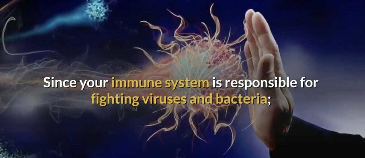 Family Health Minute - Supplements Good For Your Immune System