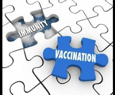 HOW TO BOOST IMMUNITY - 10 FOODS TO BOOST YOUR IMMUNE SYSTEM AND VITAMIN C NATURALLY