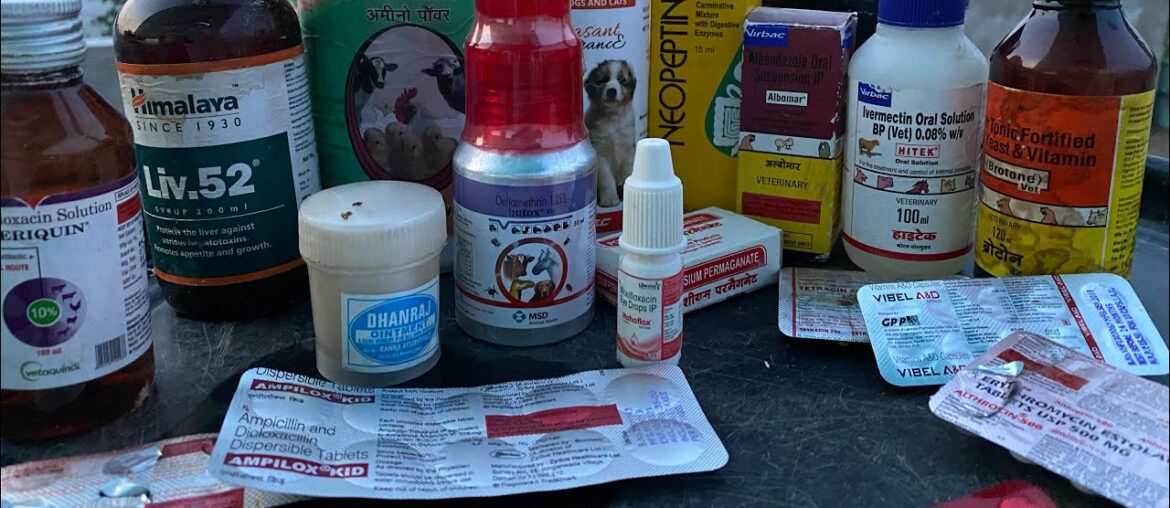 MULTIVITAMIN | DEWORMING | ANTIBIOTICS | POX TREATMENT | MEDICINES FOR BIRDS