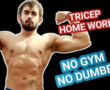 How To Build Triceps At Home Without Dumbbell | No Equipment Tricep Workout (Hindi)