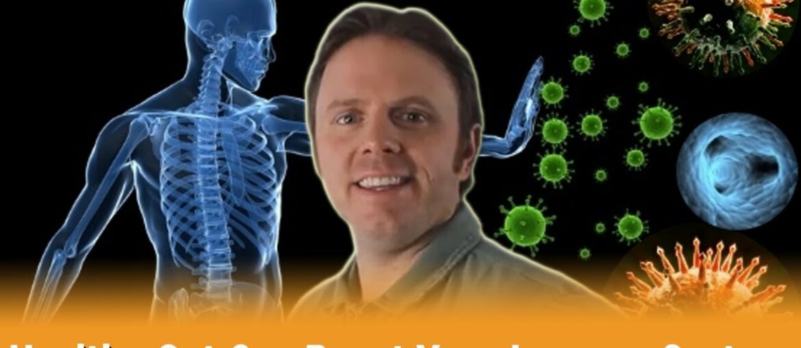 Healthy Gut Function Can Boost Your Immune System