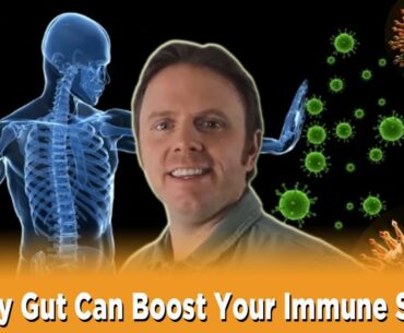 Healthy Gut Function Can Boost Your Immune System