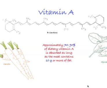The Importance of Vitamin A, E and K