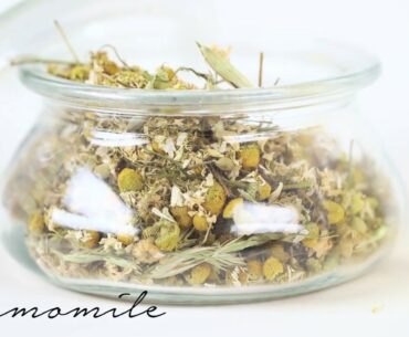 Palladio Beauty | Botanical and Vitamin Infused Ingredients