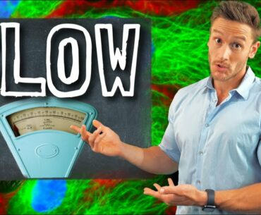 6 Steps to Prevent Metabolic SLOWDOWN  (QuickStart Guide)