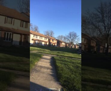 Dance Fitness in Nature🐝