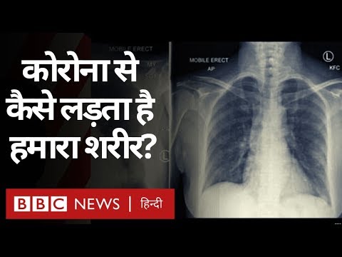 Corona Virus : मानव शरीर और उसका Immune System इस संक्रमण से कैसे लड़ रहा है?