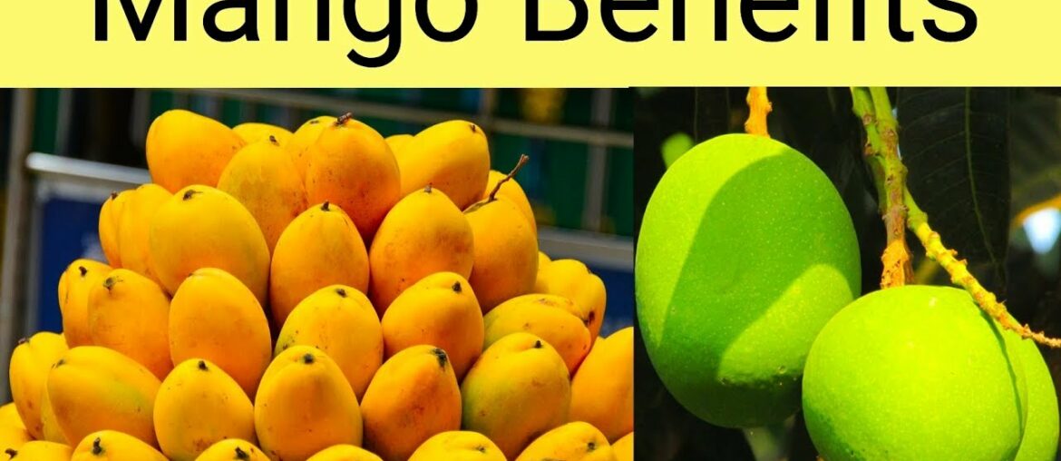 Mango Benefits || आम खाने के फायदे || Surprising Health Benefits Of Eating Mango