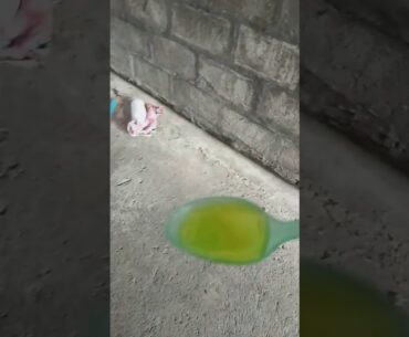 kobe drinking vitamins