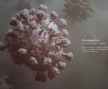 The Coronavirus Outbreak | Random42 Scientific Communication