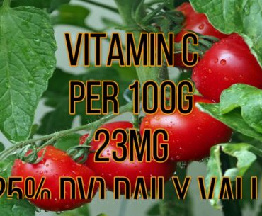 10 FOODS THAT ARE HIGH IN VITAMIN C