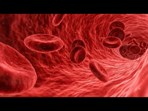 Why Vitamin C is essential for you | vitamin C intake | Sameen Kazmi786