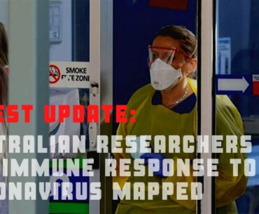 LATEST UPDATE: Australian researchers say immune response to coronavirus mapped