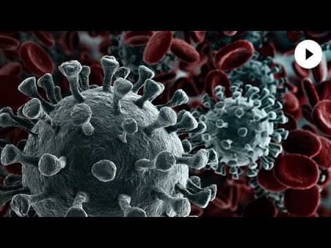 Testing for Coronavirus Immunity; Excess Sodium May Harm the Immune System