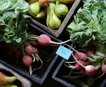 What Is Vitamin D? | Vitamin D Benefits - Runner's World