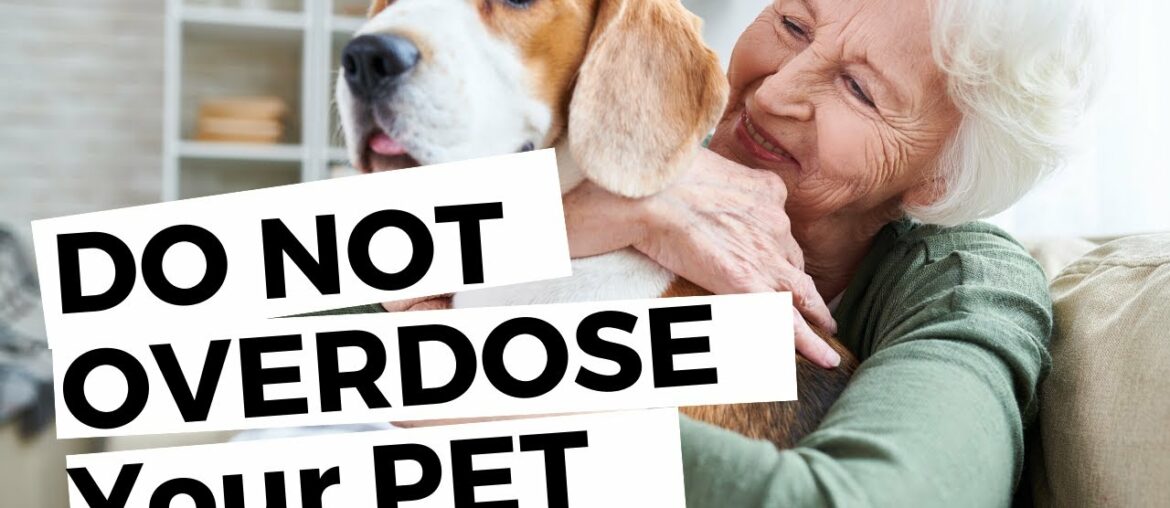 Vitamins And Supplements Overdose Can Cause Serious Complications In Pets