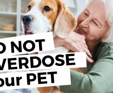 Vitamins And Supplements Overdose Can Cause Serious Complications In Pets