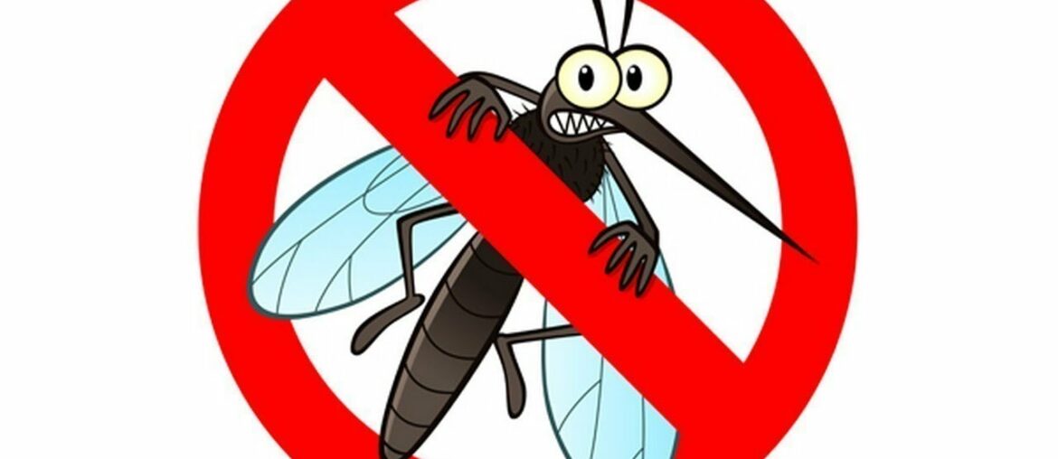 Just Take This Vitamin and You Will Be Mosquito Free All Summer Long!