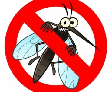 Just Take This Vitamin and You Will Be Mosquito Free All Summer Long!