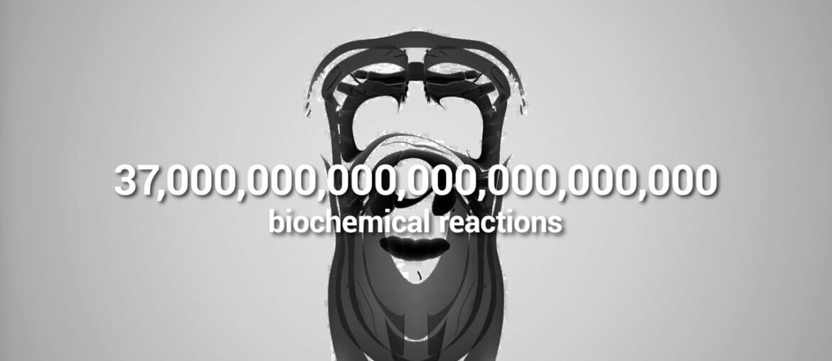 Introducing Dynamic Multivitamins That Change With you