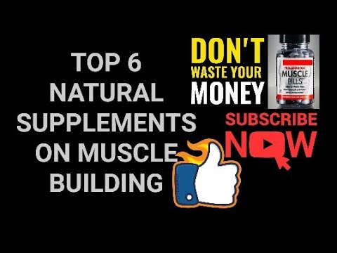 Top 6 Natural Supplements on Muscle Building