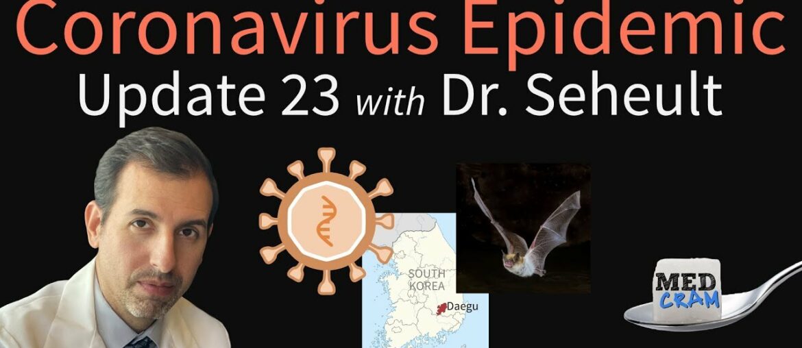 Coronavirus Epidemic Update 23: Infections in Kids & Pregnancy, South Korea, Spillover From Bats