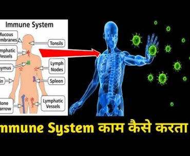 How does immune system respond to c*r*n*a????🗣🗣🗣