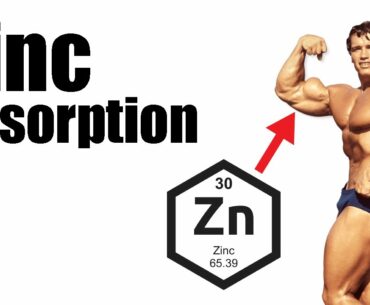 Enhancing Zinc Absorption