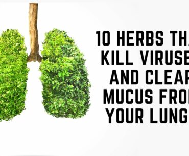 10 Herbs That Kill Viruses and Clear Mucus from Your Lungs | Join The Health