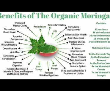 Moringa Properties Boost Immune System To Help Fight Coronavirus and other Diseases