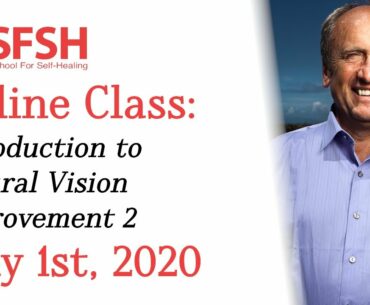 Thoughts on COVID-19, Vision, & The Immune System + Sign up for Meir's next online vision class!