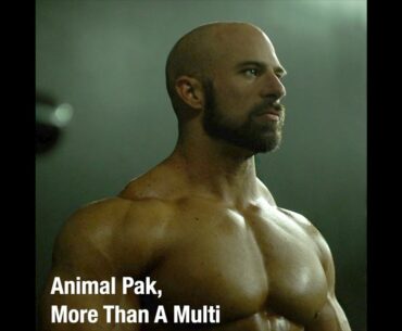 Animal Pak, More Than A Multi | Stick Packs Now Available