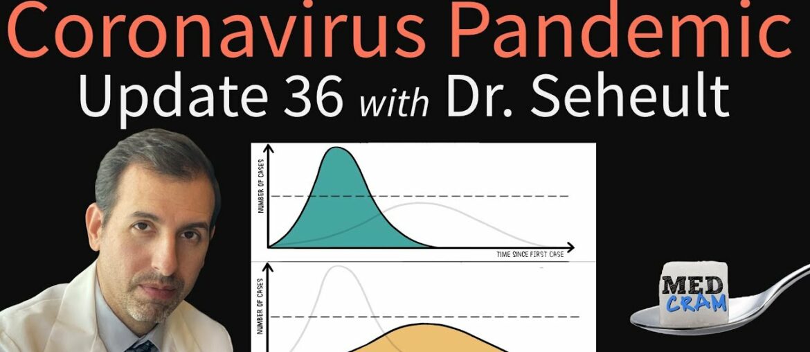 Coronavirus Pandemic Update 36: Flatten The COVID-19 Curve, Social Distancing, Hospital Capacities