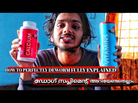 Best PET SUPPLEMENTS | CALCIUM | MULTI VITAMIN | Deworming Puppy Dog | Malayalam