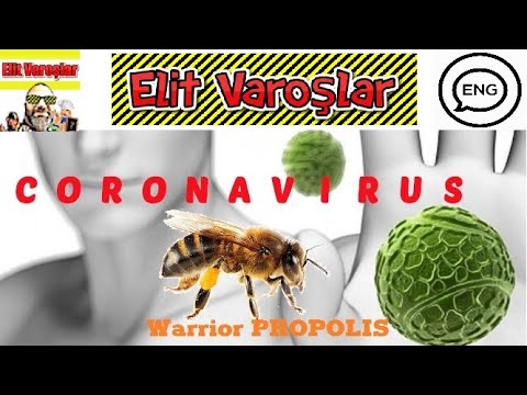 ENG, How to protect yourself for Coronavirus? Boost your immune system with Bee Propolis